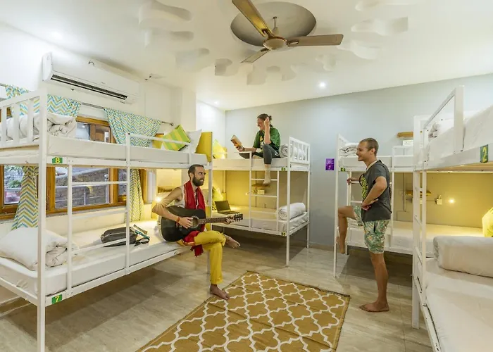 Zostel Rishikesh, Tapovan